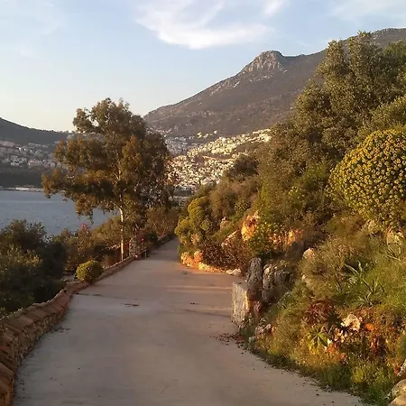 Amare Kalkan