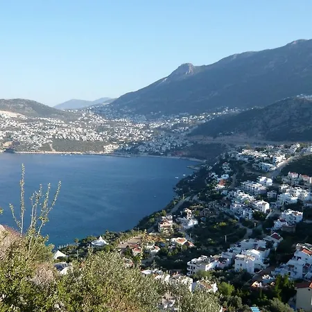 Amare * Kalkan