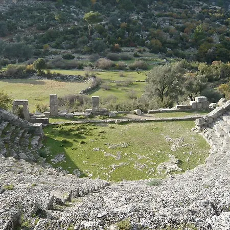Amare Kalkan
